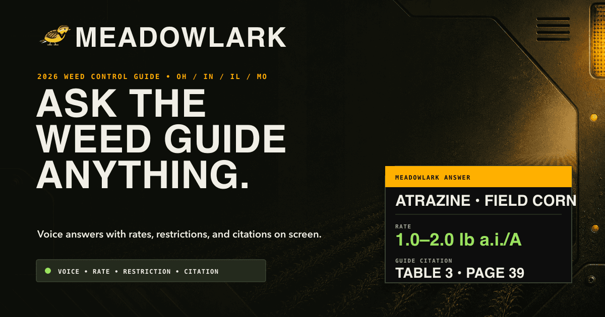 Meadowlark answer panel showing a rate and the source table and page